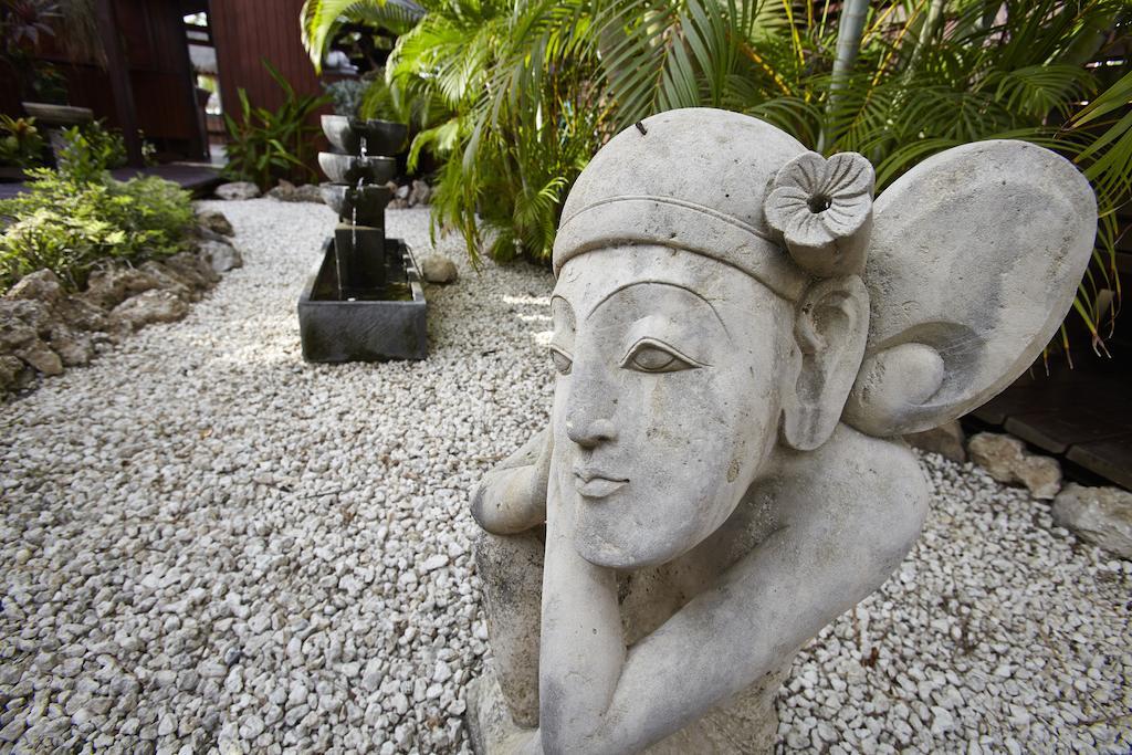 Manchebo Beach Resort And Spa Palm Beach Kültér fotó